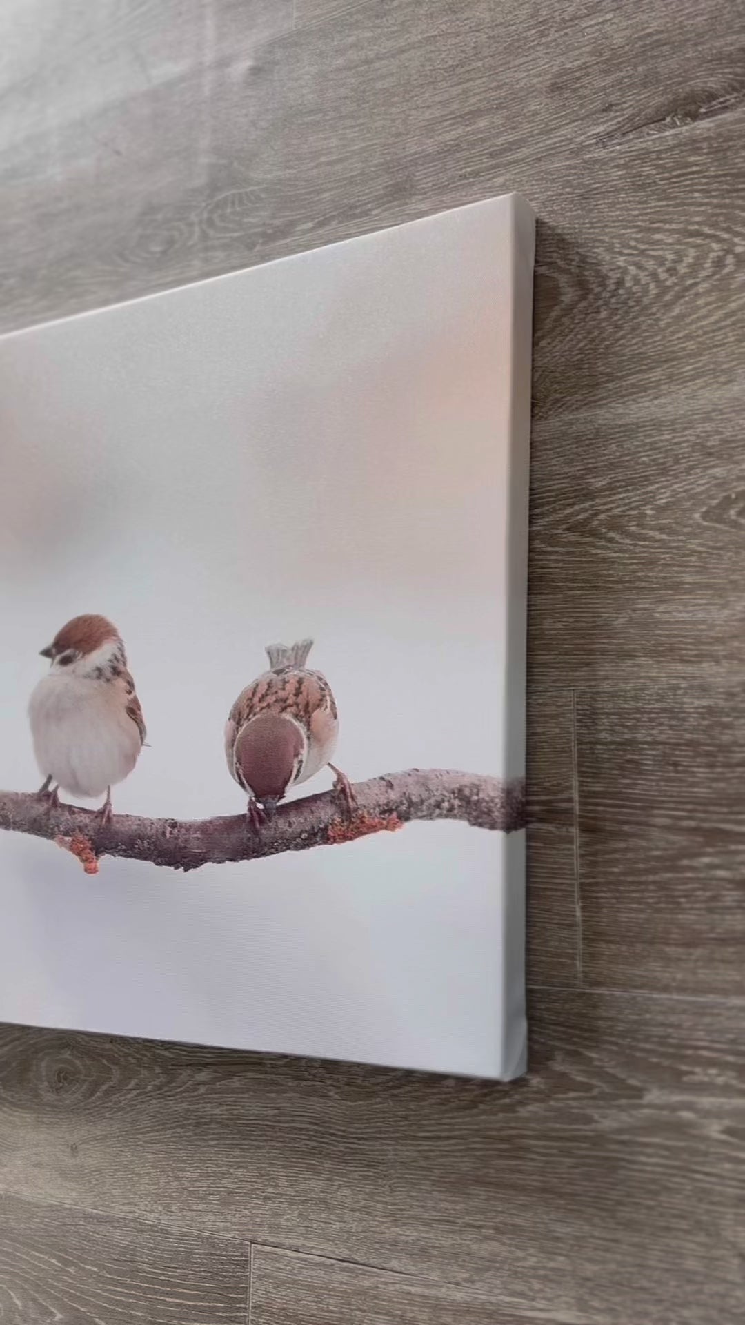 Modern Animal Canvas Wall Art Print Poster | Home Decor | Stretched 1 Panel - Funny Birds Sparrows Sitting on a Branch