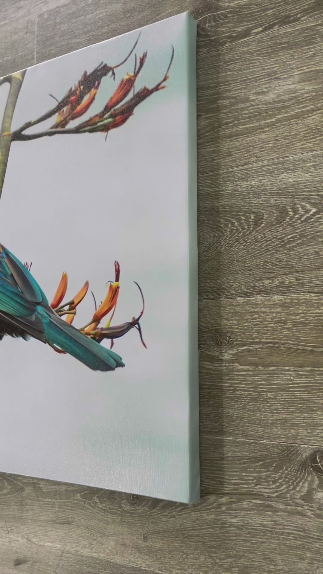 Pine Stretched  Framed 1 Panel - Tui