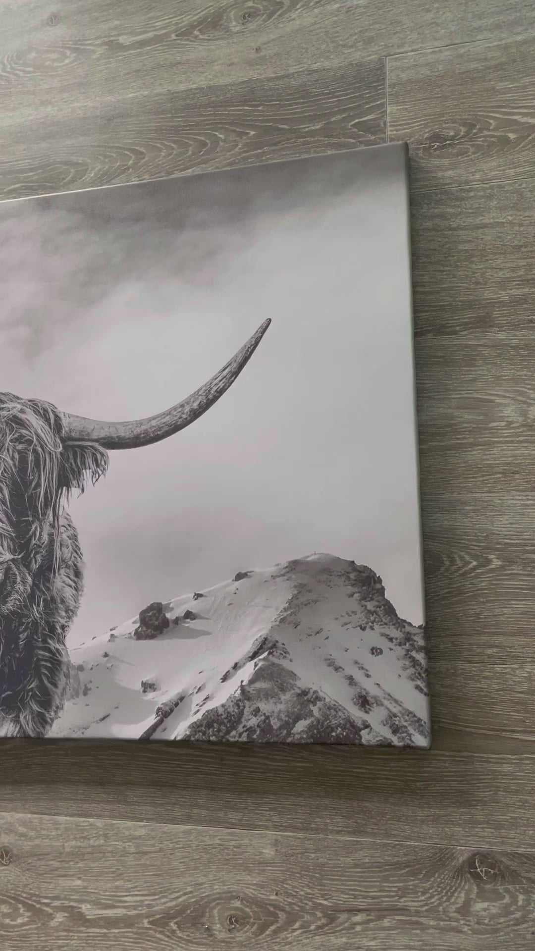 Pine Stretched  Framed 1 Panel - Highlander Cow