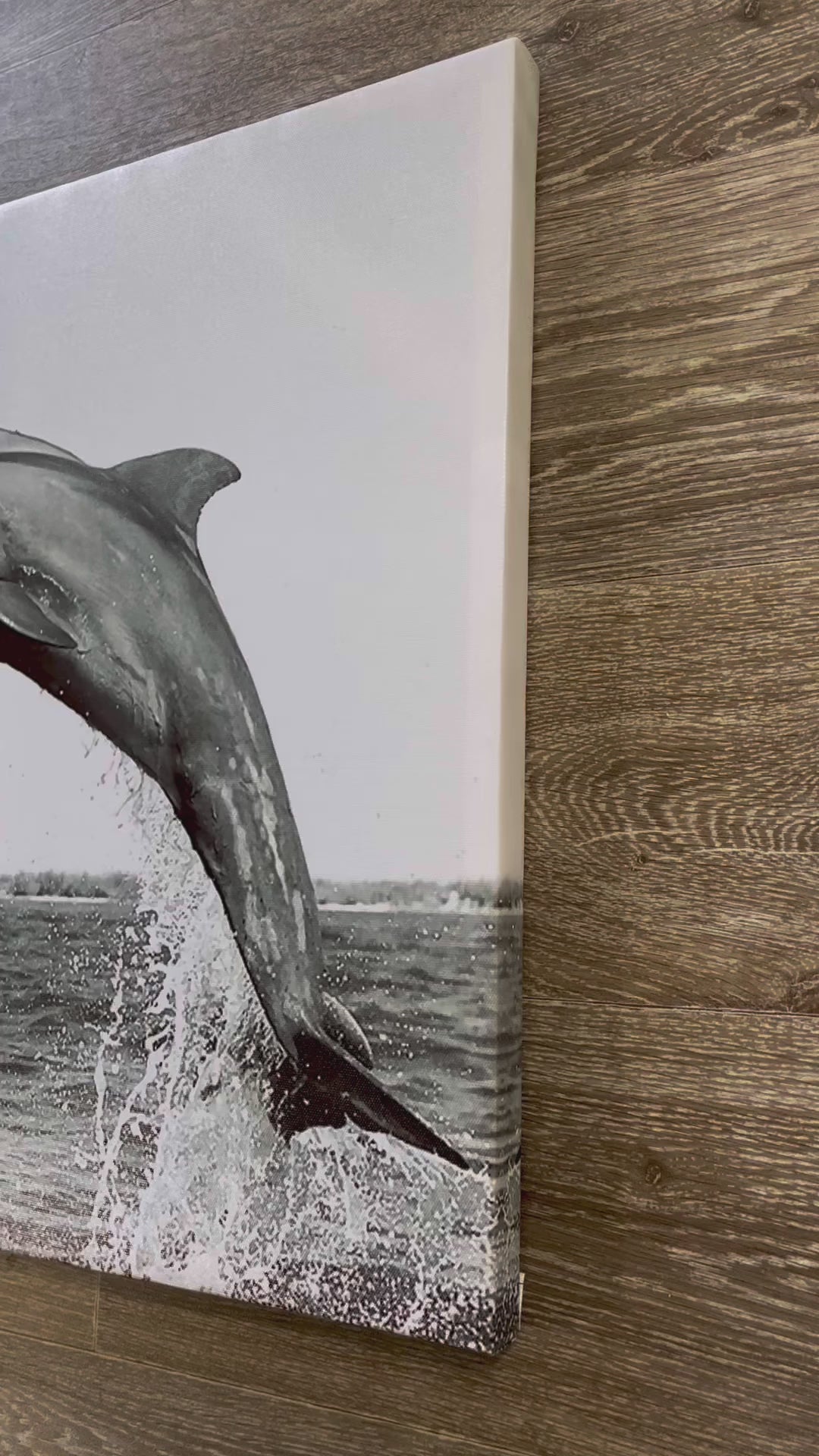 Framed 3 Panels - Dolphins