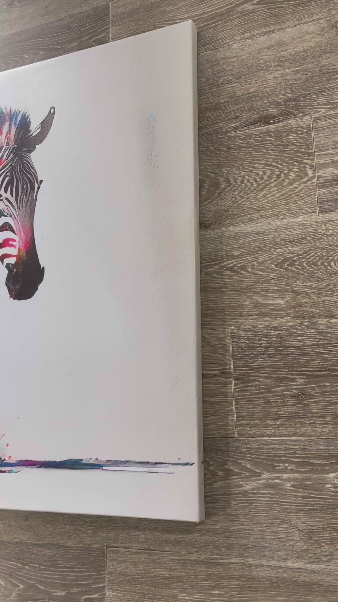 Pine Stretched  Framed 1 Panel - Rainbow Zebra