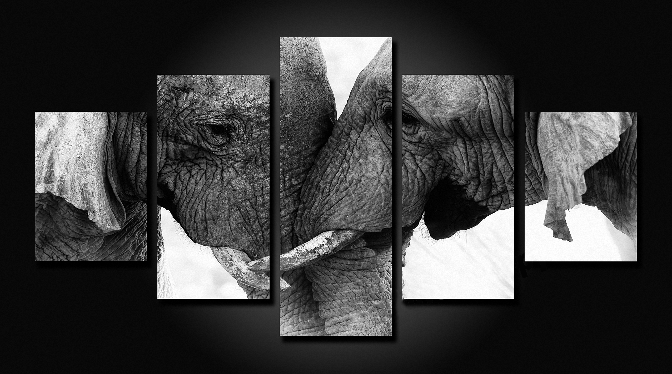LP10016 - Elephant