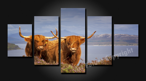 Framed 5 Panels - Highlander Cow