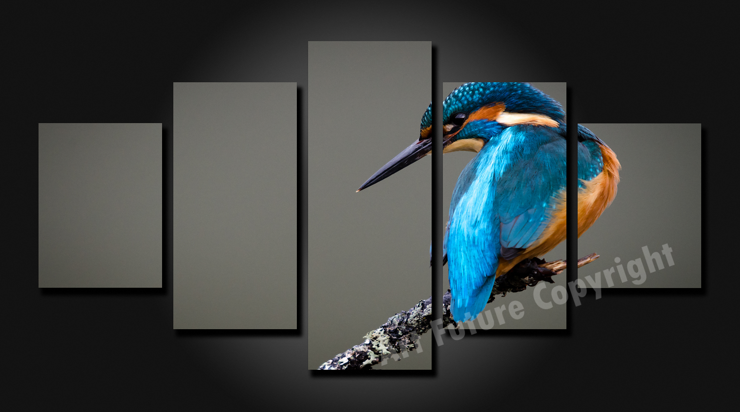 Framed 5 Panels - Kingfisher Perched