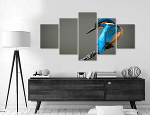 Framed 5 Panels - Kingfisher Perched