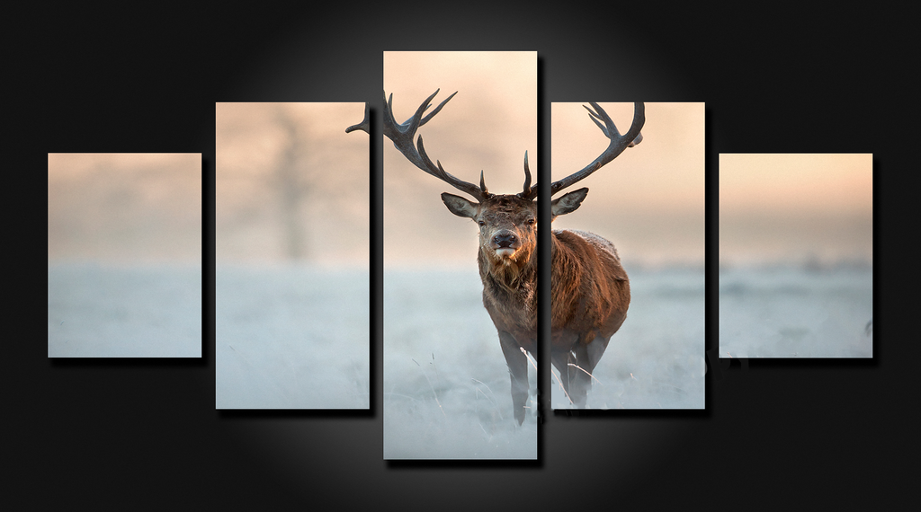 Framed 5 Panels - Stag