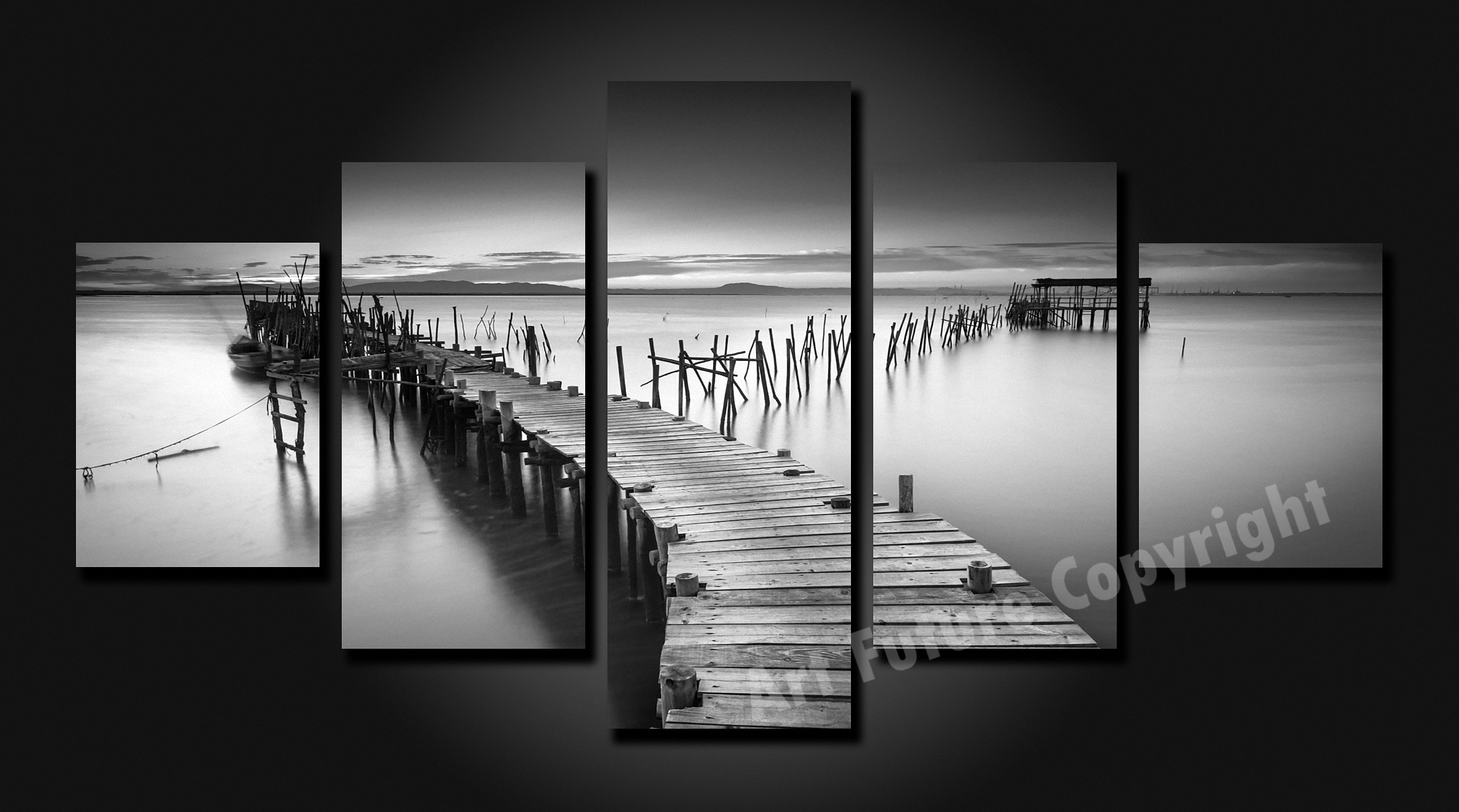 Framed 5 Panels - Black and White