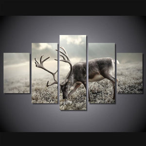 Framed 5 Panels - Deer