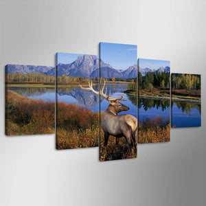Framed 5 Panels - Deer