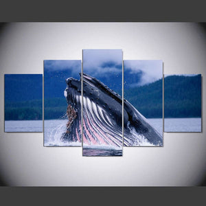 Framed 5 Panels - Whale
