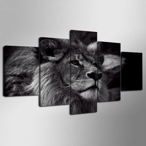 Framed 5 Panels - Lion