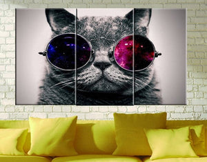 Framed 3 Panels - Cat