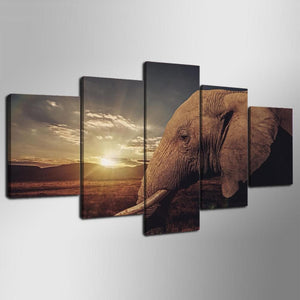 Framed 5 Panels - Elephant