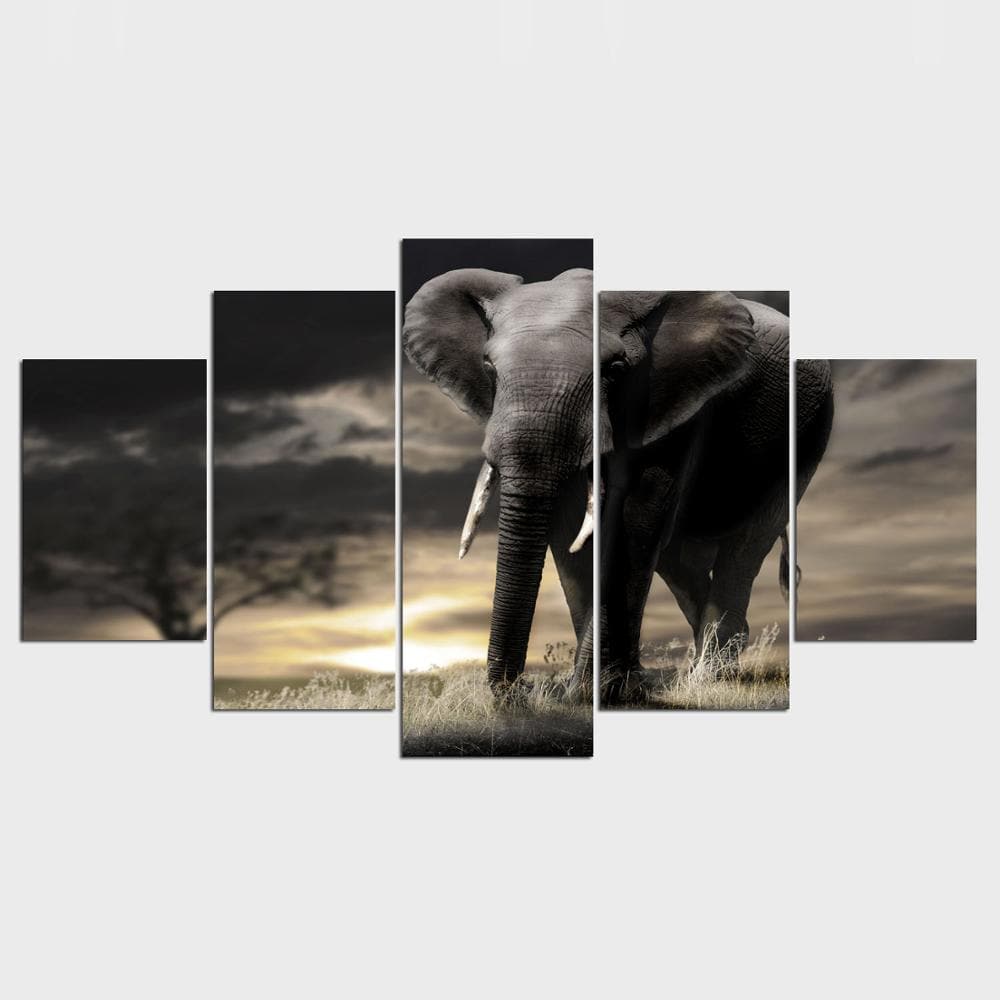 Framed 5 Panels - Elephant