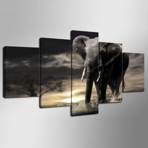 Framed 5 Panels - Elephant