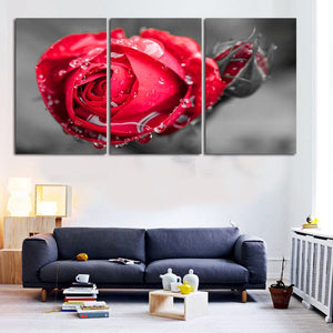 Framed 3 Panels - Rose