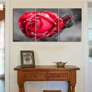 Framed 3 Panels - Rose