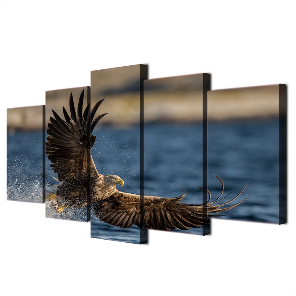 Framed 5 Panels - Eagle