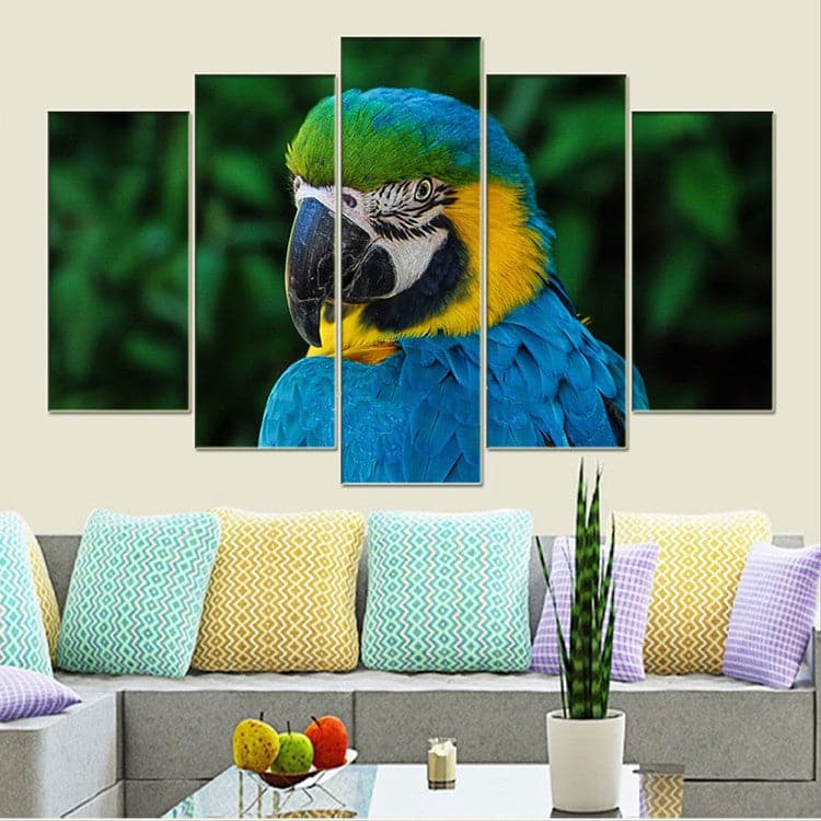 Framed 5 Panels - Parrot