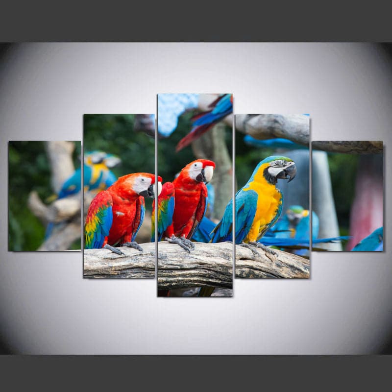 Framed 5 Panels - Parrots