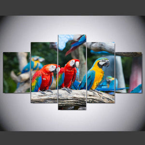Framed 5 Panels - Parrots