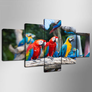 Framed 5 Panels - Parrots