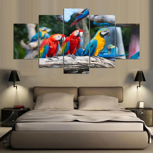 Framed 5 Panels - Parrots