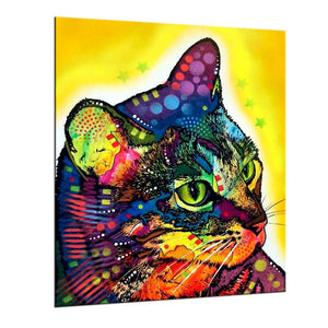 Framed 1 Panel - Cat