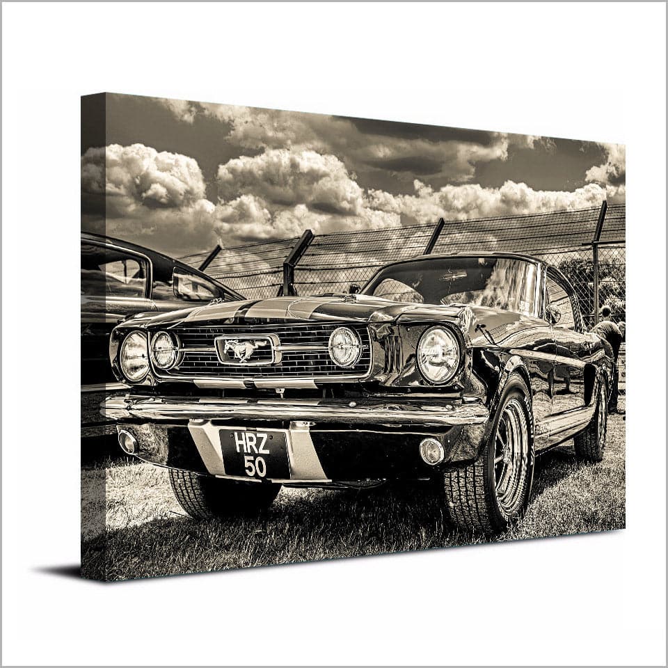Framed 1 Panel - Ford Mustang
