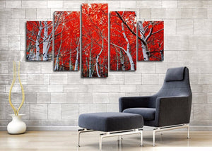 Framed 5 Panels - Red Frost
