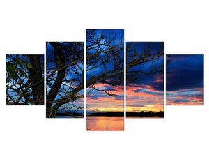 Framed 5 Panels - Landscape