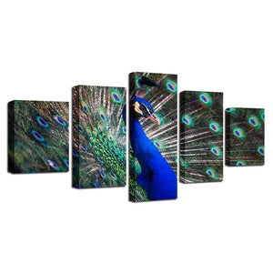 Framed 5 Panels - Peacock