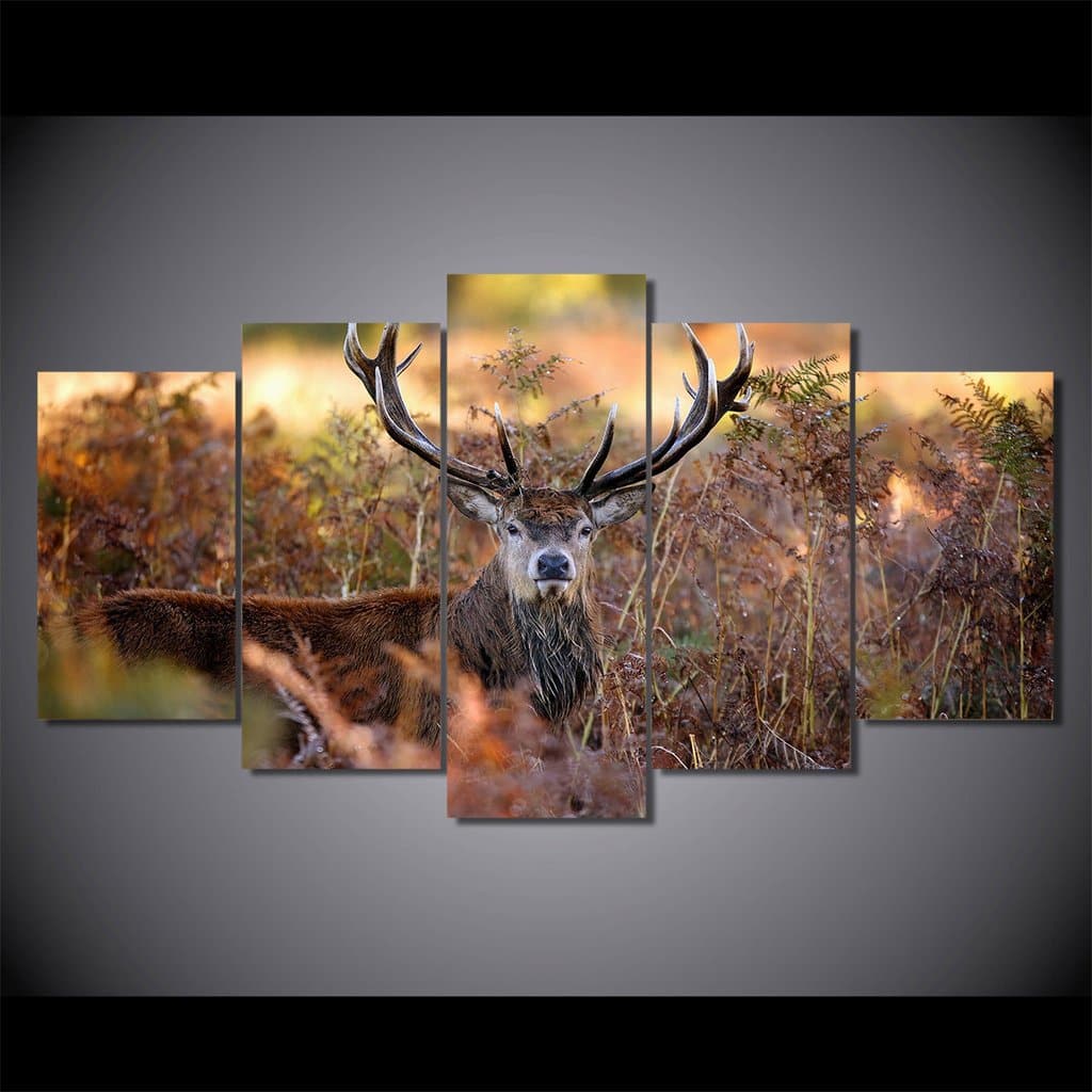 Framed 5 Panels - Deer