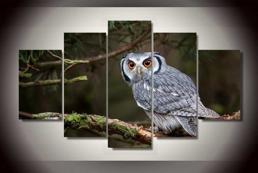 Pine Stretched  Framed 5 Panels - Owl