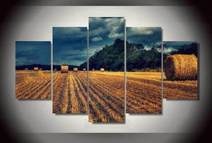 Framed 5 Panels - NZ Farm