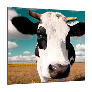 Framed 1 Panel - Cow