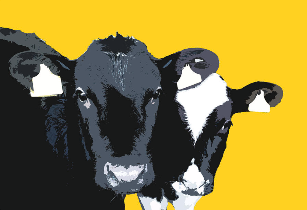 Framed 1 Panel - Cow