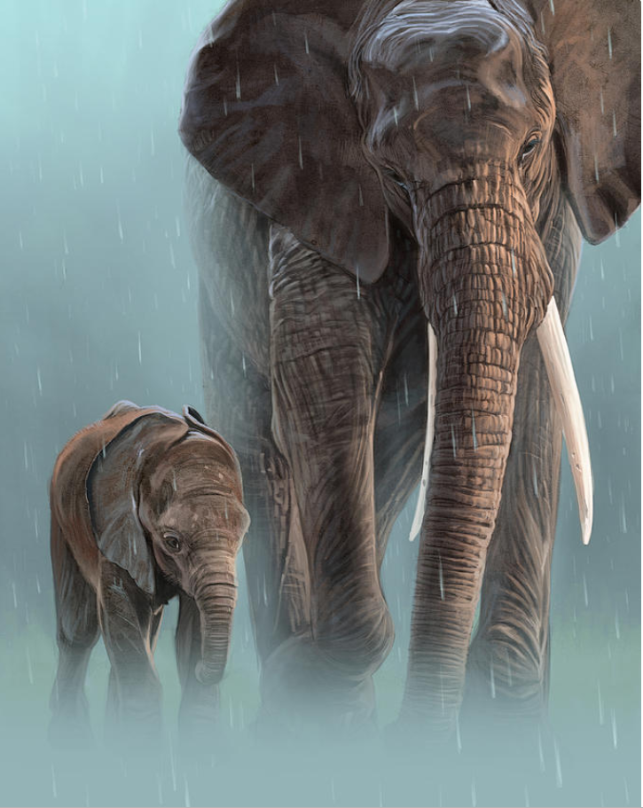 Pine Stretched  Framed 1 Panel - Elephant