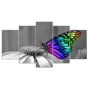 Framed 5 Panels - Butterfly