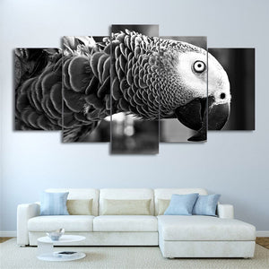 Framed 5 Panels - Parrot