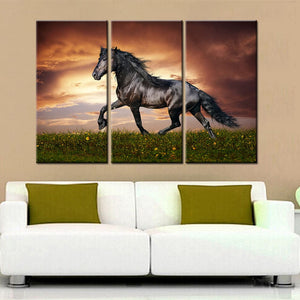 Framed 3 Panels - Horse Art