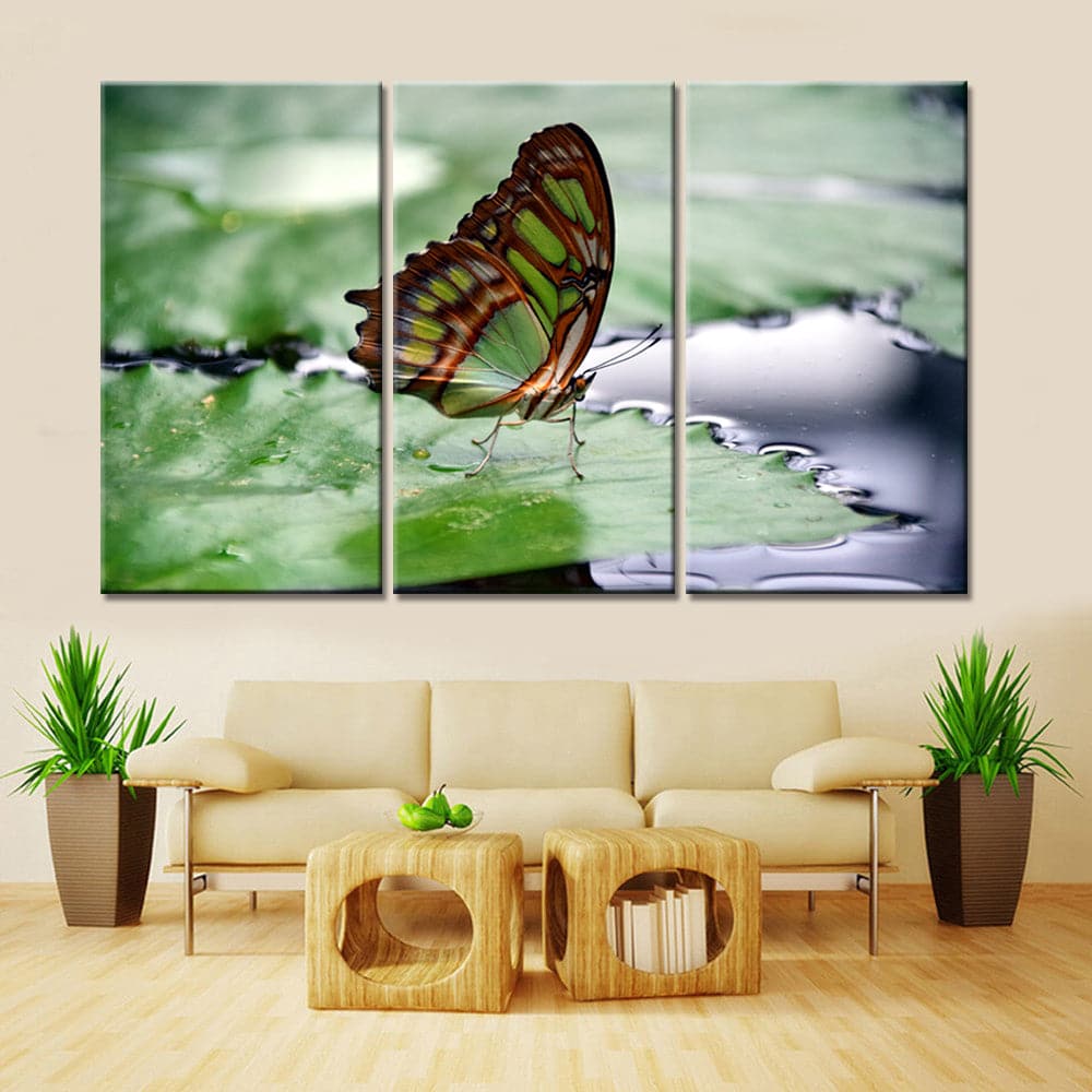 Framed 3 Panels - Butterfly