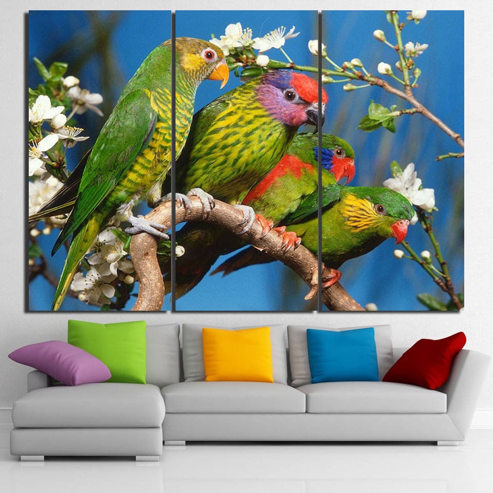 Framed 3 Panels - Parrot