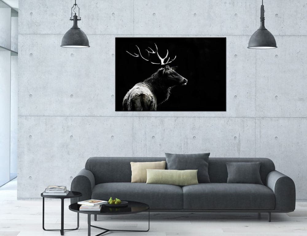 Framed 1 Panel - Deer