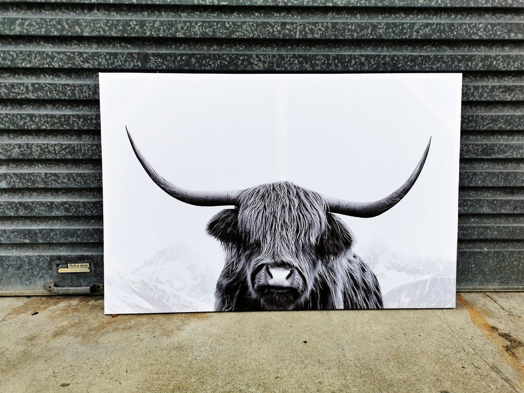 Pine Stretched  Framed 1 Panel - Finished Products - Highlander Cow