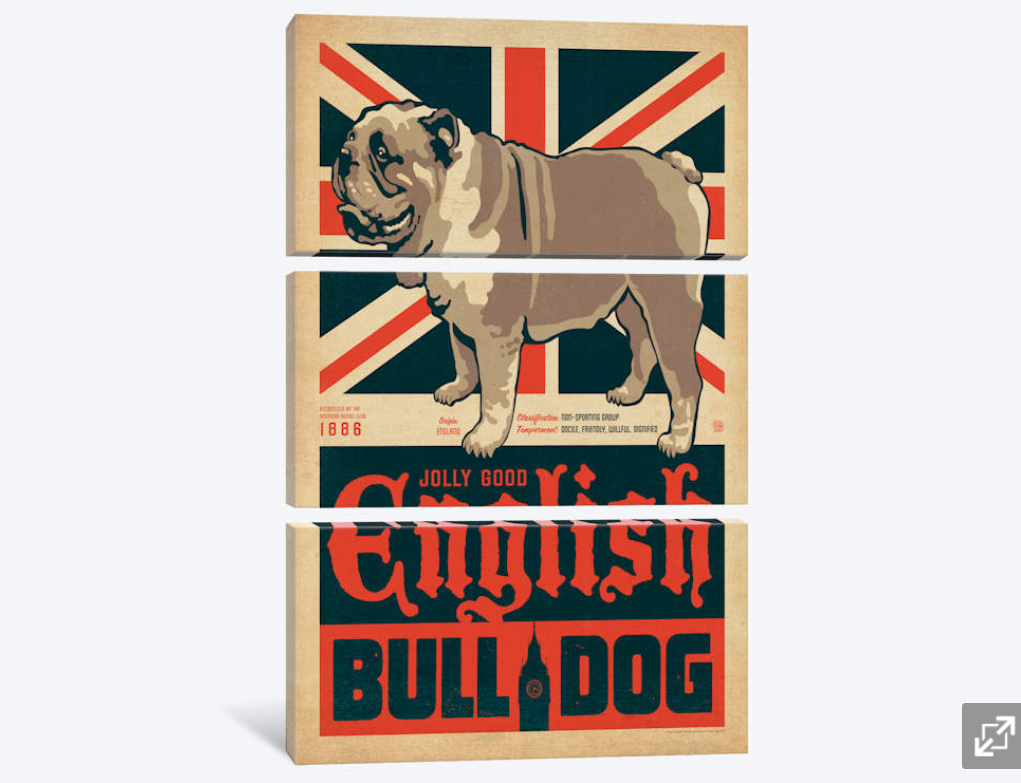 Framed 3 Panels - British BullDog