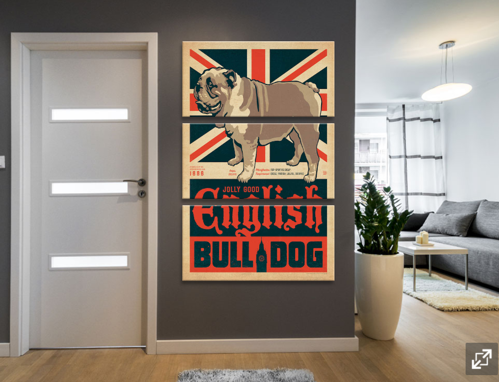 Framed 3 Panels - British BullDog