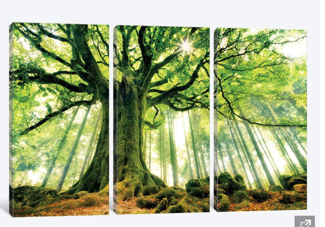 Framed 3 Panels - Tree