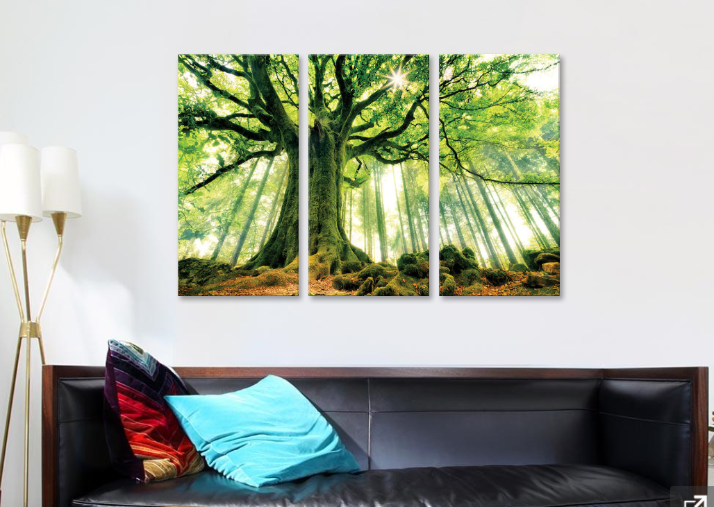 Framed 3 Panels - Tree