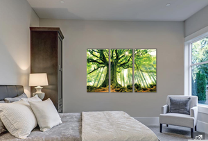 Framed 3 Panels - Tree